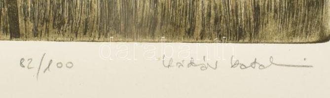 Kádár Katalin (1951- ): Japán leánykökörcsin. Színes rézkarc, papír, jelzett, számozott: 82/100, 29,...