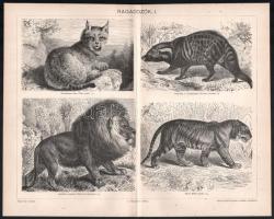 11 db állatokat ábrázoló melléklet a Pallas Lexikonból
