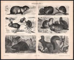 11 db állatokat ábrázoló melléklet a Pallas Lexikonból