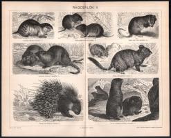 11 db állatokat ábrázoló melléklet a Pallas Lexikonból