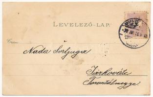 1898 (Vorläufer) Nagyszentmiklós, Sannicolau Mare; Náko utca, Sörfőzde, sörgyár, városháza, Czenzing...