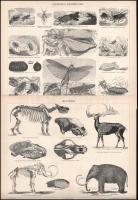 7 db vegyes nyomat a Pallas Lexikonból, 23×30 cm