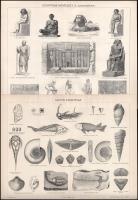 7 db vegyes nyomat a Pallas Lexikonból, 23×30 cm