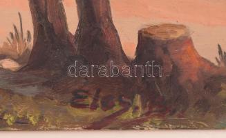 Éles Béla, XX. sz. közepe: Napfényes erdő. Olaj, karton, jelzett, kartonra kasírozva. 30x40 cm