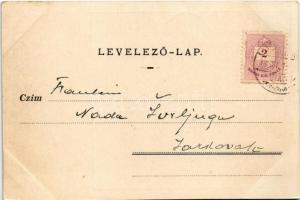 1898 (Vorläufer) Nagybecskerek, Zrenjanin, Veliki Beckerek; Corso / Sétatér, korzó, kerékpáros felvo...