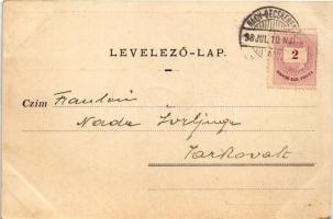 1898 (Vorläufer) Nagybecskerek, Zrenjanin, Veliki Beckerek; látkép, zsinagóga, szerb folklór, jegyes...