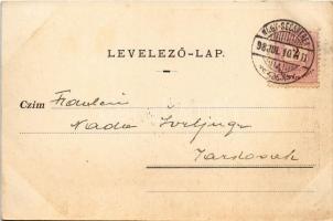 1898 (Vorläufer) Nagybecskerek, Zrenjanin, Veliki Beckerek; Megyeháza, magyar folklór. Grcsits és Ki...