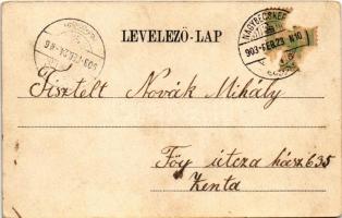 1903 Nagybecskerek, Zrenjanin, Veliki Beckerek; Ferenc József tér, üzletek. Grcsits J. kiadása / squ...