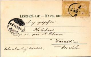 1900 Sid, Fő utca, templom, Piac / church of the Krizevci diocese, square, shops, market. Ottmar Zie...