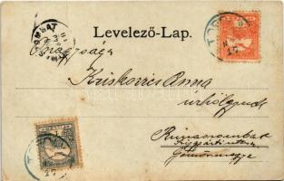 1900 Topolya, Bácstopolya, Bács-Topolya, Backa Topola; Kir. járásbíróság, római katolikus templom, k...