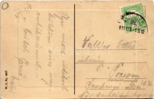 1911 Újvidék, Novi Sad; Sétatér, park. W.L. Bp. 4217. / promenade, park (b)