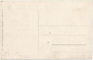 Újvidék, Novi Sad; Pétervárad vár. Vasúti levelezőlapárusítás 3271. / Grad Petrovaradin / Festung Pe...