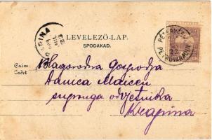 1900 Újvidék, Novi Sad; Tekia, Tekija (Pétervárad, Peterwardein, Petrovaradin), Mária kegytemplom / ...