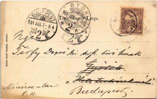 1901 Zombor, Sombor; Megyeháza, Erzsébet liget. Schön Adolf kiadása. Szecessziós címeres litho keret...