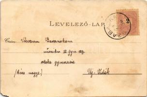 1899 (Vorläufer) Palics, Palic (Szabadka, Subotica); Fürdő. Vig Zsigmond Sándor kiadása / spa, bath....