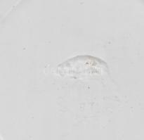 4 darab antik fajansz falitál, búza-, madár- és virágmintával díszítve, jelzéssel, kopással, d: 23-2...