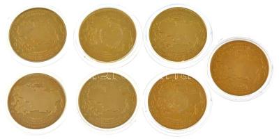 Oroszország DN (1991) "Független Államok Közössége" aranyozott Cu-Ni emlékérem (7xklf) ére...