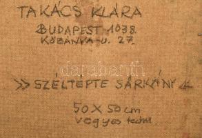 Takács Klára (1947-): Széltépte sárkány, 1980-as évek. Vegyes technika, farost, jelzett. Hátoldalon ...