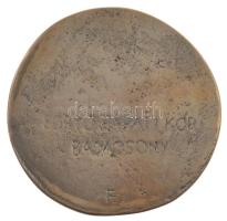 DN "Badacsony Baráti Kör" öntött bronz emlékérem (83mm) T:XF,VF