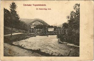 1916 Topánfalva, Topersdorf, Campeni; Út Fehérvölgy felé. Csiky testvérek kiadása / road to Albac (EK)