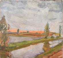 Tornyai jelzéssel: Színes táj. Olaj, falemez, sérült. Kétoldalas mű, hátoldalán téli tájkép alakokka...