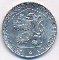 Csehszlovákia 1965. 25K Ag "A felszabadulás 20. évfordulója" T:AU,XF kis patina
Czechoslo...