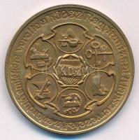 Bogár Lívia (1957-) 1986. "100 éves a Nagykanizsai Ipartestület 1886-1986 / KIOSZ" kétolda...