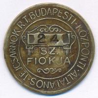 ~1930. "Üvegbetétjegy / Budapesti Központi Általános Tejcsarnok Rt. 24. sz. fiókja" 50f sá...