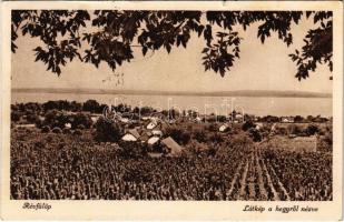 1949 Révfülöp, Látkép a hegyről nézve, szőlő (kis szakadás / small tear)