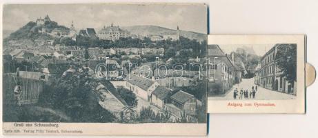 Segesvár, Schässburg, Sighisoara; mechanikus leporellólap 12 képpel. Fritz Teutsch kiadása / mechani...