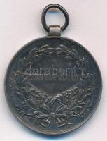 1917. "Károly Ezüst Vitézségi Érem II. osztálya" jelzetlen Ag kitüntetés. Szign.: Kautsch ...