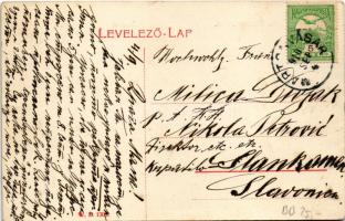 1910 Martonvásár, Ercsi út. W.L. 1303