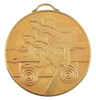 Fritz Mihály (1947-) 1988. "III. Tisza kupa - Debrecen 1988. június 23-25" kétoldalas fém ...