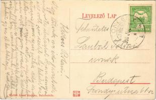 1910 Balatonlelle, partrészlet, csónakázók. Wollák József kiadása