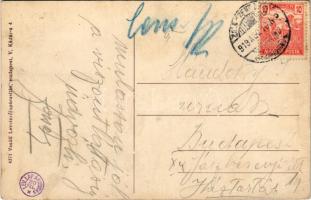 1919 Balatonszentgyörgy, falurészlet, tehenek. Vasúti Levelezőlapárúsítás (fa)