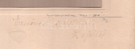 1927 Hölgy színezett portréja, kartonra kasírozott, aláírt fotó Vajda M. Pál műterméből, 23×17 cm