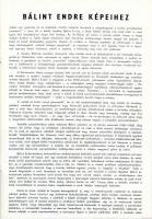 Mándy Stefánia Mucsi András: Bálint Endre festőművész kiállítása. Szentendrei Képtár, 1981, k.n. Fek...