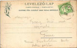 1911 Tátra, Tatry; Virágvölgy (Rózsavölgy), Blumental, Kvetnica; villák, nyaralók. Feitzinger Ede 90...