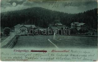 1901 Tátra, Tatry; Virágvölgy (Rózsavölgy), Blumental, Kvetnica; látkép. Schmidt Edgar kiadása / general view (lyuk / pinhole)