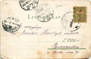 1906 Stószfürdő, Stoósz-fürdő, Kúpele Stós; Budapest és Dr. Czirfusz villa. Wlaszlovits Gusztáv kiad...