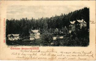1901 Stószfürdő, Stoósz-fürdő, Kúpele Stós; nyaralók. Wlaszlovits Gusztáv kiadása / villas, spa (fl)