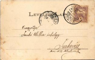 1901 Stószfürdő, Stoósz-fürdő, Kúpele Stós; nyaralók. Wlaszlovits Gusztáv kiadása / villas, spa (fl)