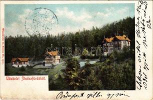 1901 Stószfürdő, Stoósz-fürdő, Kúpele Stós; nyaralók. Wlaszlovits Gusztáv kiadása / villas, spa (EK)