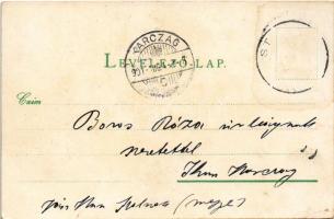 1901 Stószfürdő, Stoósz-fürdő, Kúpele Stós; nyaralók. Wlaszlovits Gusztáv kiadása / villas, spa (EK)
