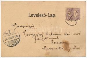 1900 Vittenc, Wittencz, Wittenz, Chtelnica; Grafl. Palfisches Castell, Am Park Teich, Pfarrkirche / ...