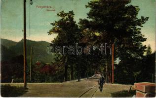 Fenyőháza, Lubochna; Vasúti út. Holczmann Izidor kiadása / railway street (Rb)