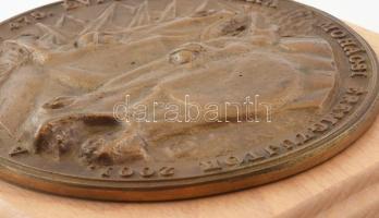 2001 Farkas Pál: A Mohácsi csata 475. évfordulójára / Mohácsi Éremgyűjtők 2001. Bronz plakett fa lap...