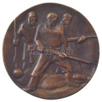 NDK ~1970. "1917 október / Lenin" kétoldalas öntött bronz emlékérem (70mm) T:XF
GDR ~1970...