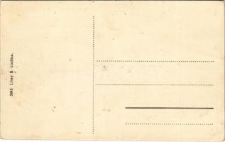 Balatonszepezd, Szepezd; Balaton-parti részlet, nyaraló, villa. Löwy B. kiadása