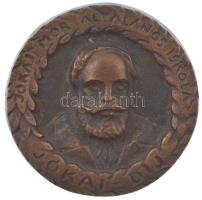 ~1970. Jókai Mór Általános Iskola - Jókai Díj öntött bronz díjérem (85mm) T:XF